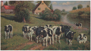 Vintage Calendar Art cows, cattle, livestock, farm life, etc.